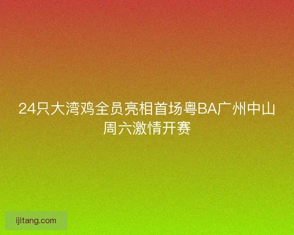24只大湾鸡全员亮相首场粤BA广州中山周六激情开赛