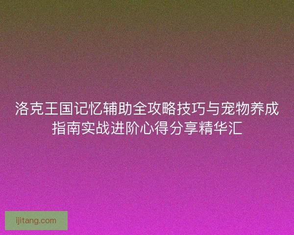 洛克王国记忆辅助全攻略技巧与宠物养成指南实战进阶心得分享精华汇
